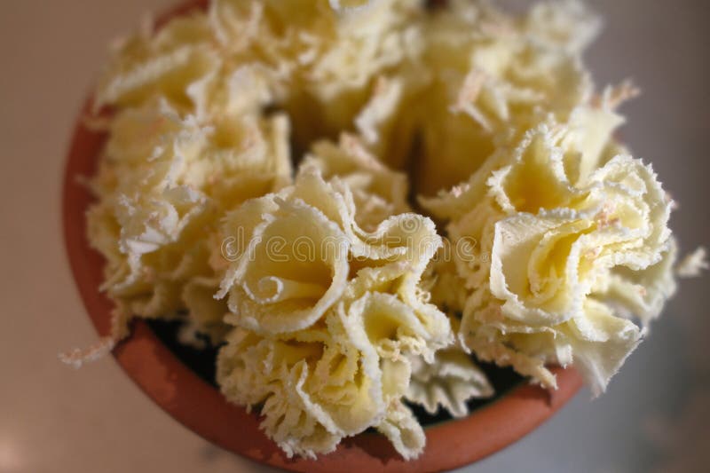 Queijo suíço e francês, variedade de tábua de madeira foto de stock royalty free