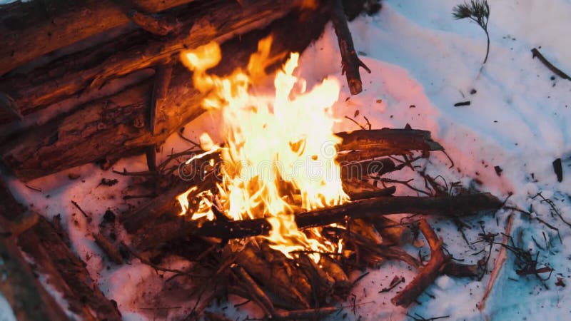 Queimaduras de Campfire na neve do morro da floresta, sobre um fundo de árvores cobertas de neve e montanhas queimando no inverno