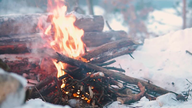 Queimaduras de Campfire na neve do morro da floresta, sobre um fundo de árvores cobertas de neve e montanhas queimando no inverno