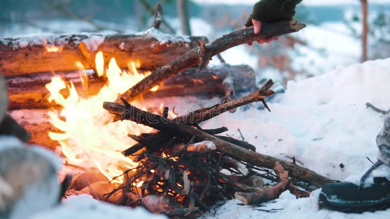 Queimaduras de Campfire na neve do morro da floresta, sobre um fundo de árvores cobertas de neve e montanhas queimando no inverno