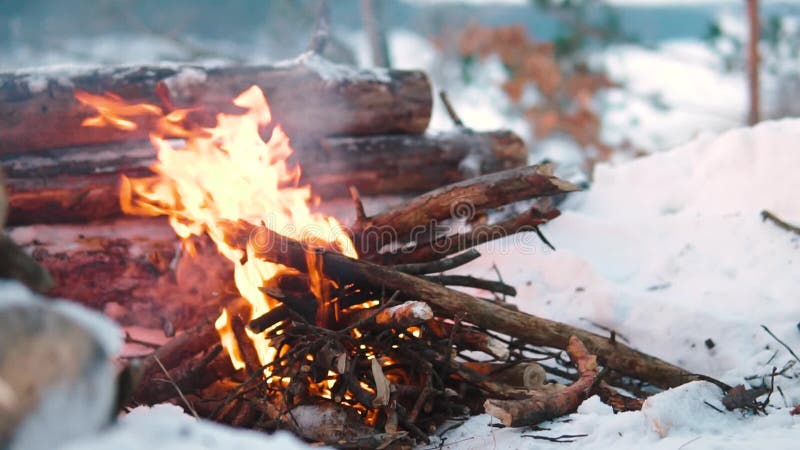 Queimaduras de Campfire na neve do morro da floresta, sobre um fundo de árvores cobertas de neve e montanhas queimando no inverno