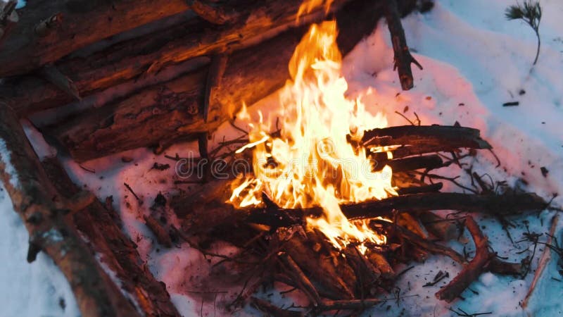 Queimaduras de Campfire na neve do morro da floresta, sobre um fundo de árvores cobertas de neve e montanhas queimando no inverno