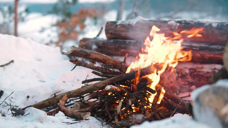 Queimaduras de Campfire na neve do morro da floresta, sobre um fundo de árvores cobertas de neve e montanhas queimando no inverno