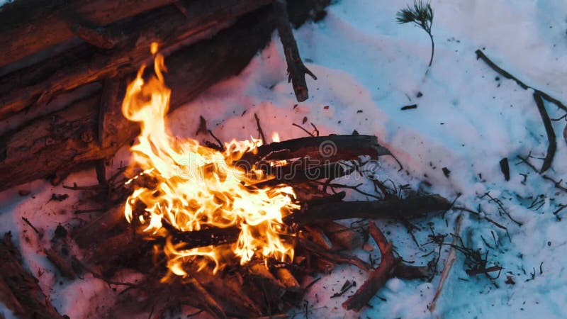 Queimaduras de Campfire na neve do morro da floresta, sobre um fundo de árvores cobertas de neve e montanhas queimando no inverno