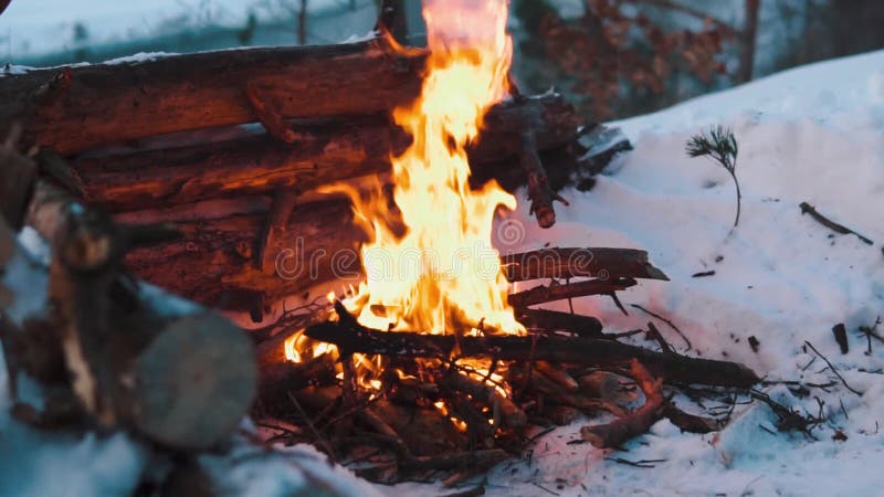 Queimaduras de Campfire na neve do morro da floresta, sobre um fundo de árvores cobertas de neve e montanhas queimando no inverno