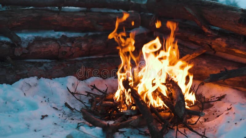 Queimaduras de Campfire na neve do morro da floresta, sobre um fundo de árvores cobertas de neve e montanhas queimando no inverno