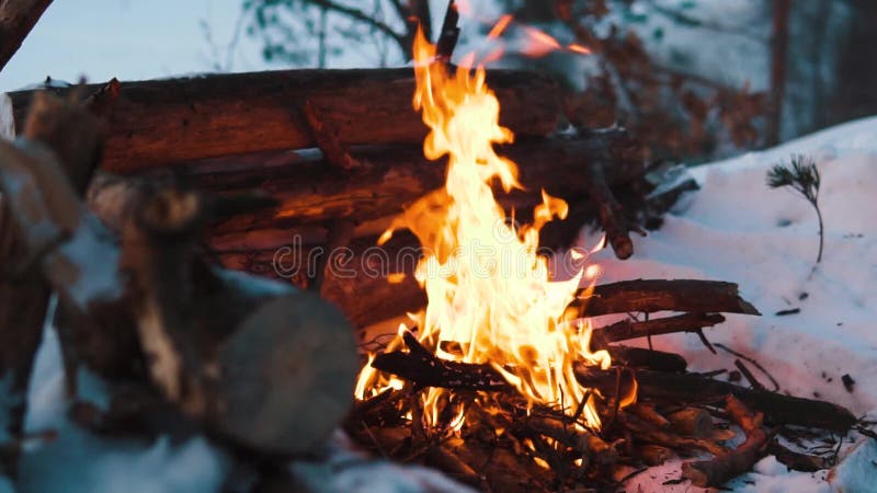 Queimaduras de Campfire na neve do morro da floresta, sobre um fundo de árvores cobertas de neve e montanhas queimando no inverno