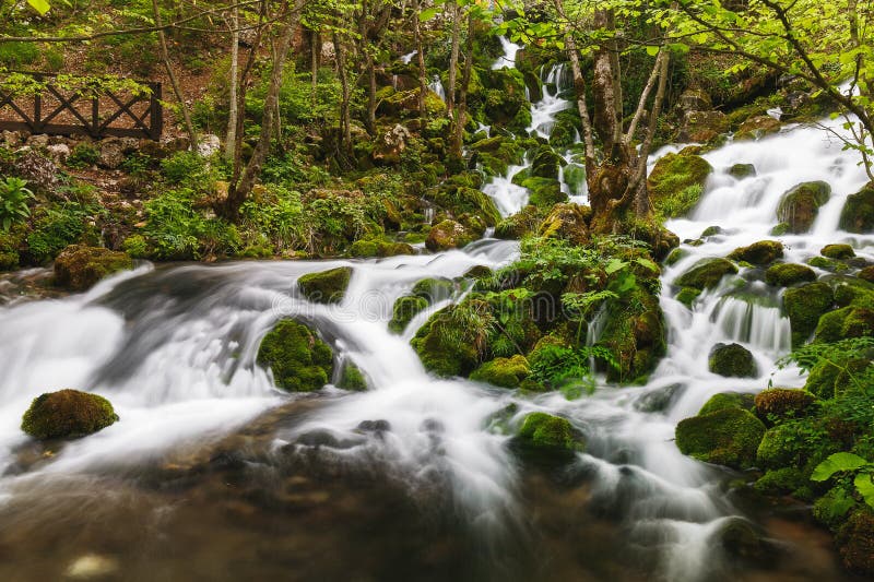 River spring with cascade in the forest surrounded by rocks and moss, travel destination, Grza, Paracin, Serbia. River spring with cascade in the forest surrounded by rocks and moss, travel destination, Grza, Paracin, Serbia