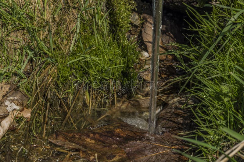 Quelle mit Trinkwasser und Bad auf Frühlingswiese stockfotos Quelle mit Trinkwasser und Bad auf Frühlingswiese stockfotos