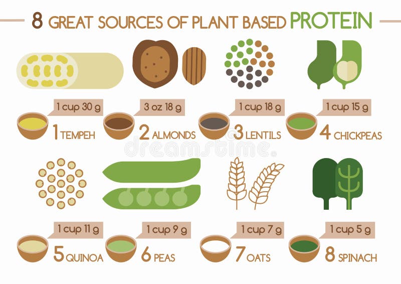 8 Quellen der Anlage basierten Protein Illustrator vektor abbildung 8 Quellen der Anlage basierten Protein Illustrator vektor abbildung