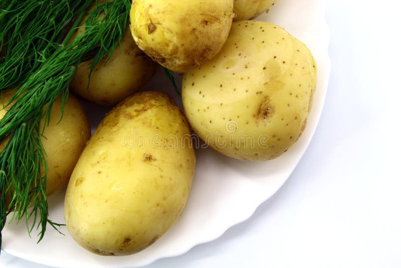 Quelques pommes de terre, cuites avec la peau, se trouvant d'un plat avec un petit groupe d'aneth photos libres de droits Quelques pommes de terre, cuites avec la peau, se trouvant d'un plat avec un petit groupe d'aneth photos libres de droits