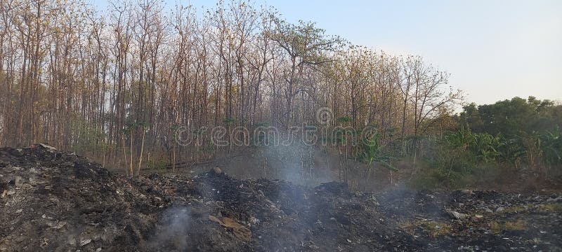 Quema de basura fotos de archivo libres de regalías