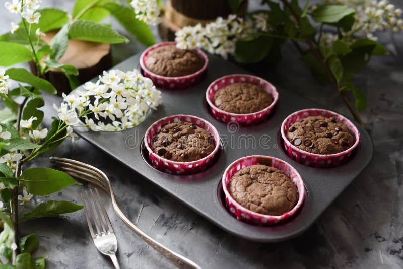 Queques caseiros deliciosos do chocolate com as flores da cereja de pássaro no fundo escuro imagens de stock Queques caseiros deliciosos do chocolate com as flores da cereja de pássaro no fundo escuro imagens de stock
