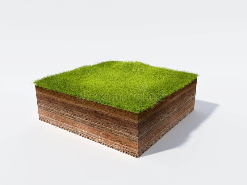 3d illustration of cross section of ground with grass isolated on white. 3d illustration of cross section of ground with grass isolated on white