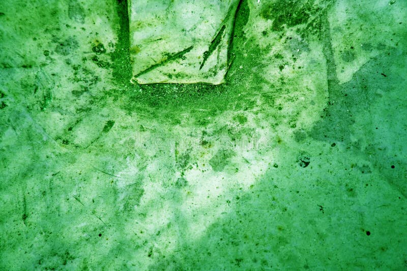 Quetzal Green painted concrete wall, stone surface. Quetzal Green colored concrete wall, stone surface stock images Quetzal Green painted concrete wall, stone surface. Quetzal Green colored concrete wall, stone surface stock images