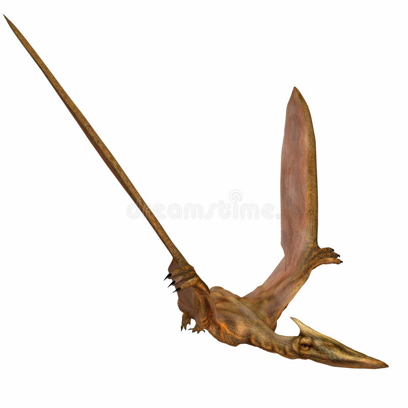 3 D Computer Render of an Quetzalcoatlus