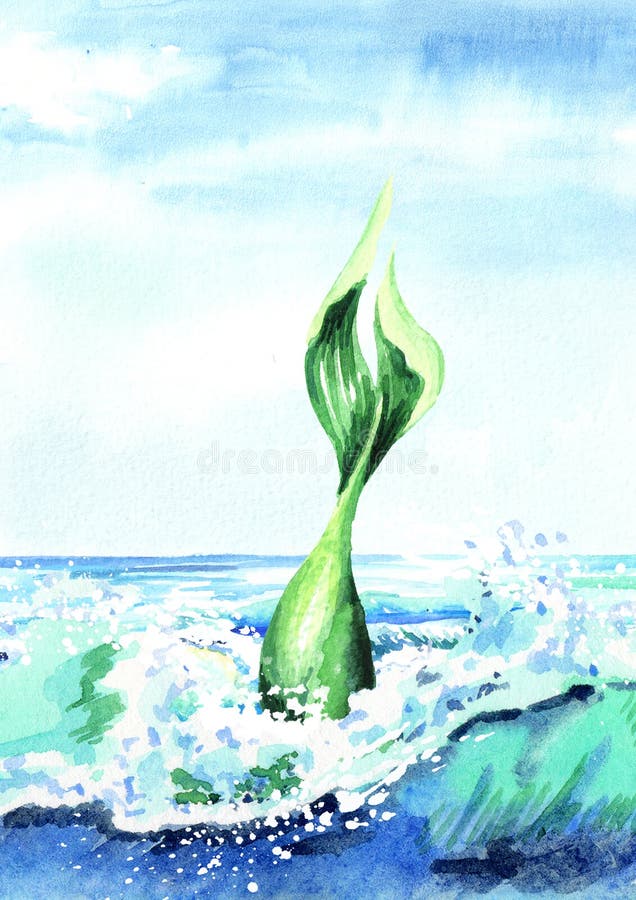Queue d'une sirène plongeant hors de l'eau, illustration tirée par la main d'aquarelle illustration libre de droits Queue d'une sirène plongeant hors de l'eau, illustration tirée par la main d'aquarelle illustration libre de droits