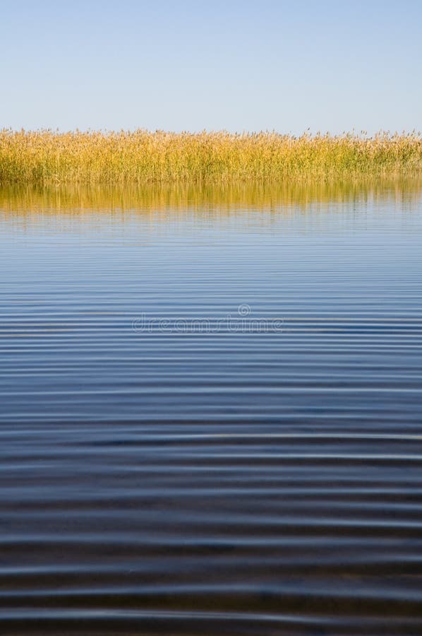 Quiet autumn lake