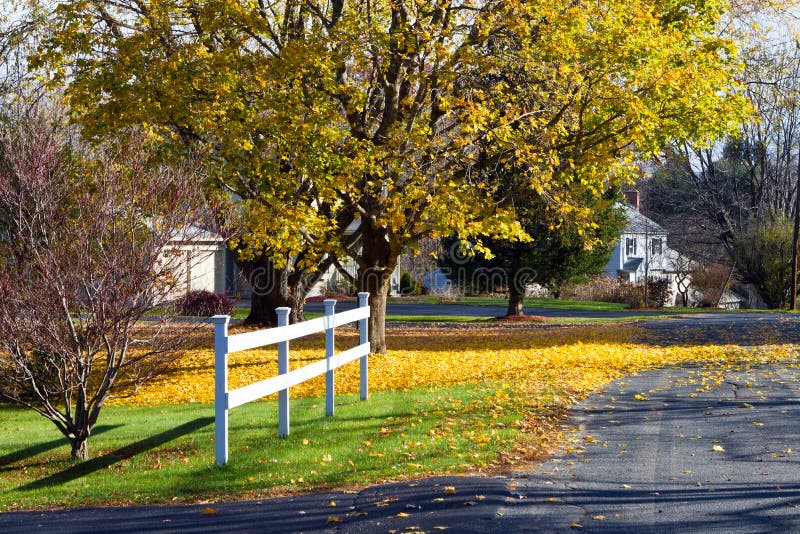 Quiet autumn street