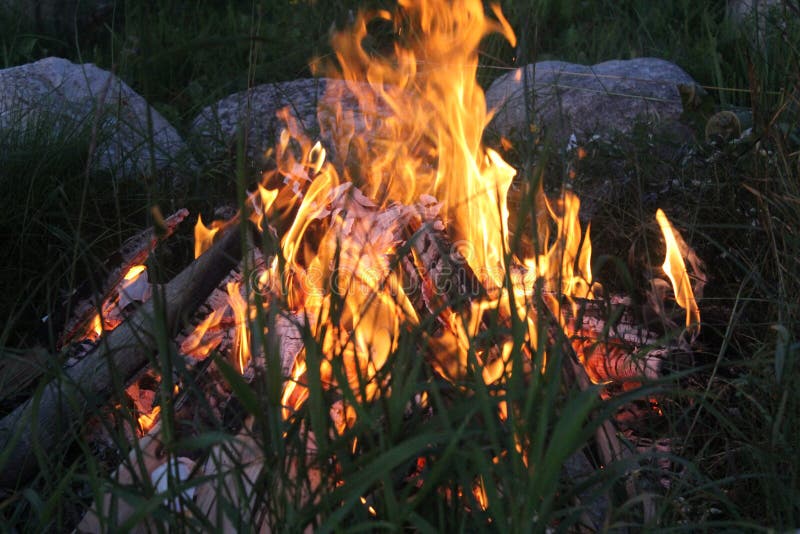 Quiet campfire at warm summer day. royalty free stock image Quiet campfire at warm summer day. royalty free stock image