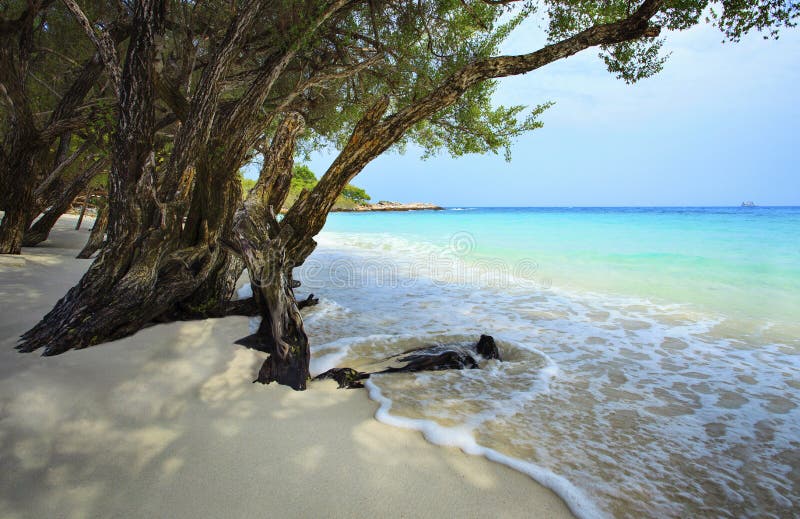 Quiet and peaceful white sand beach of koh samed rayong province