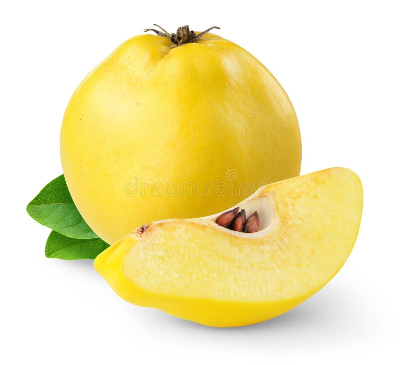 Quince fotos de stock royalty free Quince fotos de stock royalty free