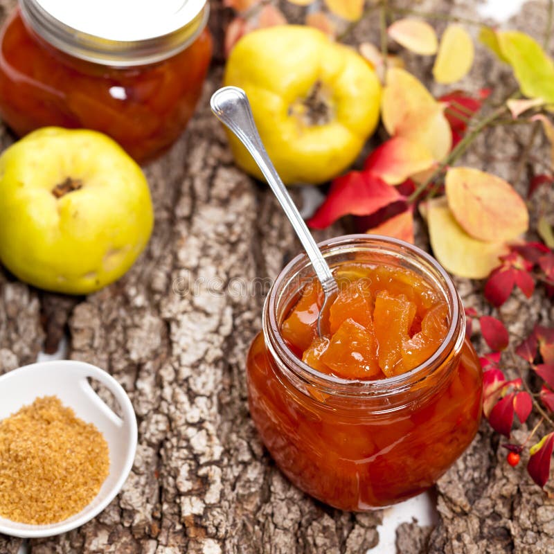 Quince jam stock photo. Image of conserve, delicious 22224302