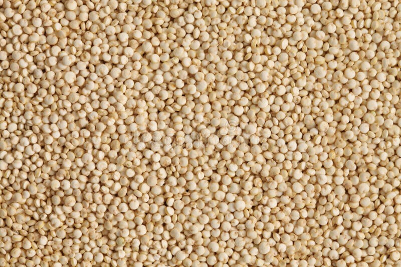 Quinoa cru image stock. Image du graines, nutrition, texture 29401881