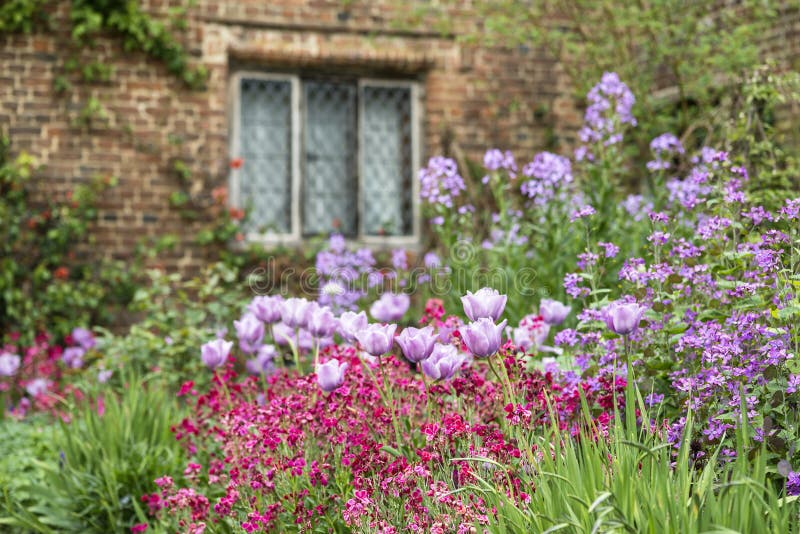 Quintessential vibrant English country garden scene landscape wi