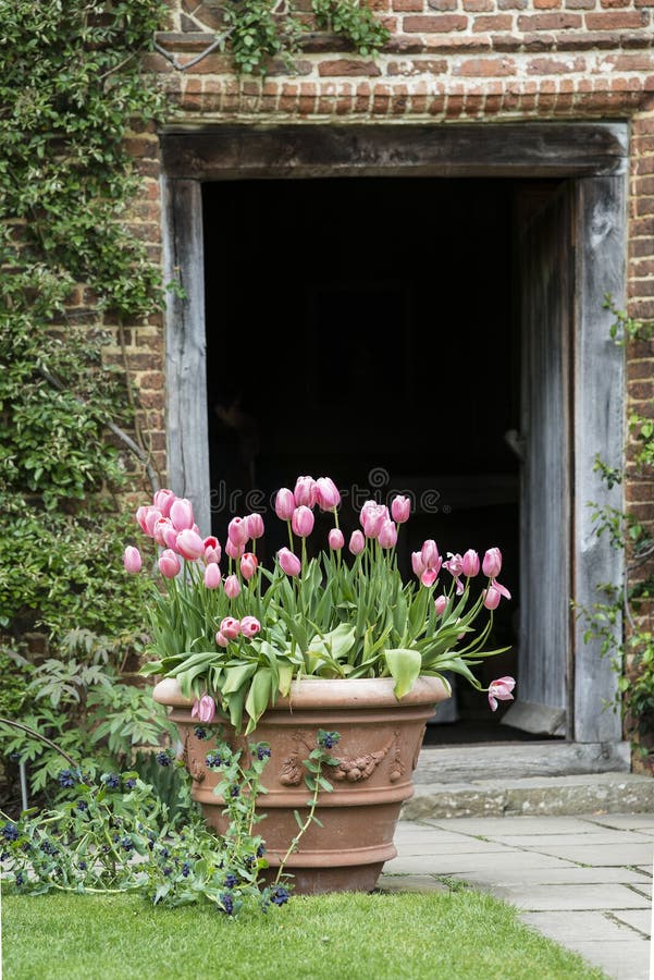 Quintessential vibrant English country garden scene landscape wi