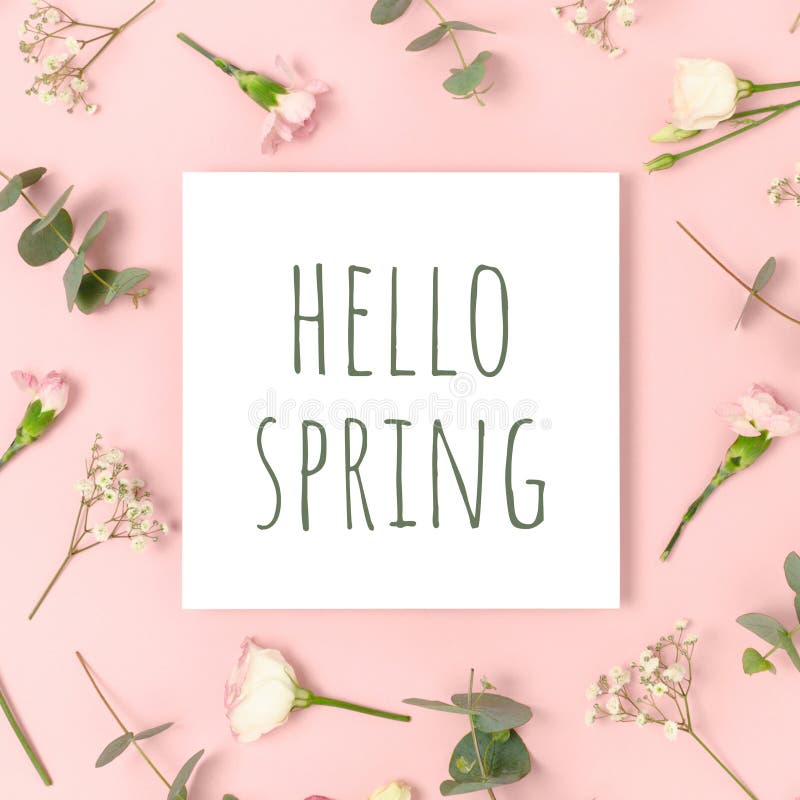 Quote Hello Spring. Floral Pattern Flat Lay. Stock Image Image of