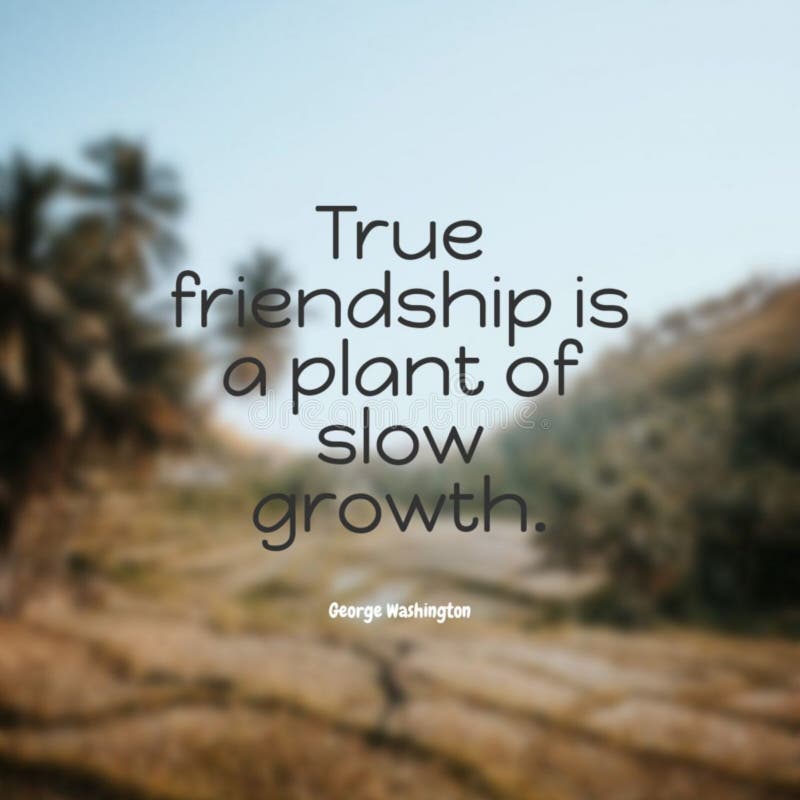 Friendship Quotes Stock Photos - 24,948 Images