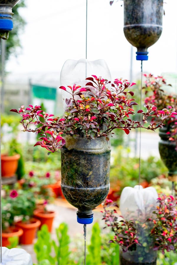 Pots de fleurs en plastique accrochant pot de fleur de de