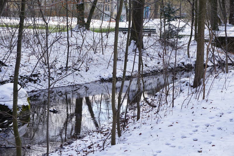 Río en invierno con nieve en parque en Alemania