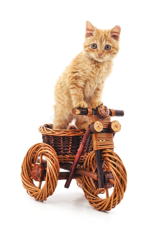 R? d kattunge p? leksakcykeln. Red kitten on toy bike on a white background