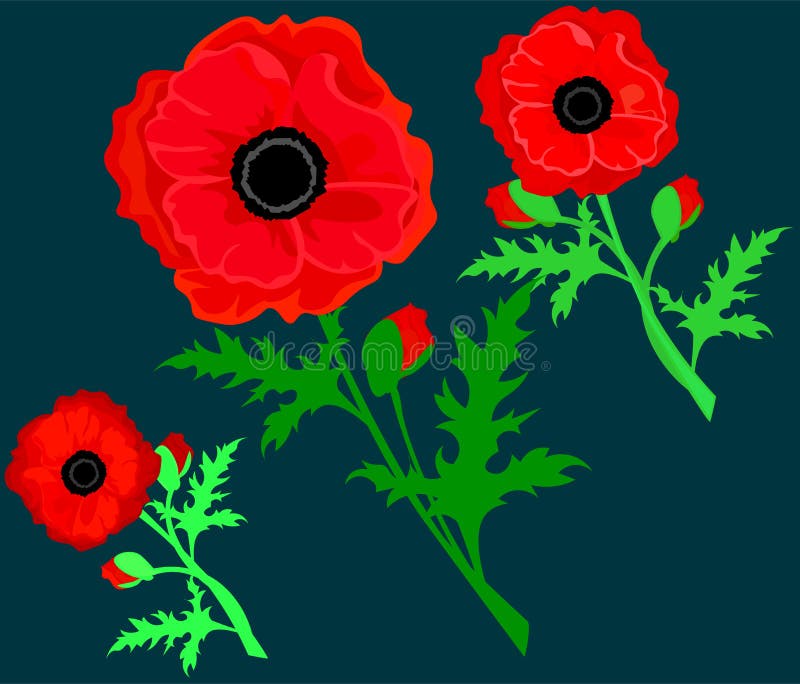 R?d vallmo som isoleras p? vit bakgrund Vallmoblommor och gr?s f?r vektor r?da romantiska r?da vallmor Kort med vallmo vektor stock illustrationer R?d vallmo som isoleras p? vit bakgrund Vallmoblommor och gr?s f?r vektor r?da romantiska r?da vallmor Kort med vallmo vektor stock illustrationer
