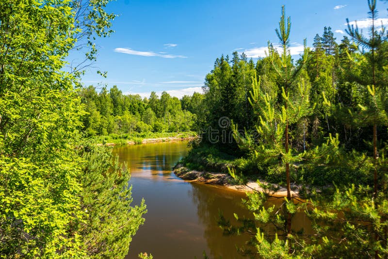 Calm forest river hiding behind tree branches. summer with calm water and shadows from sun