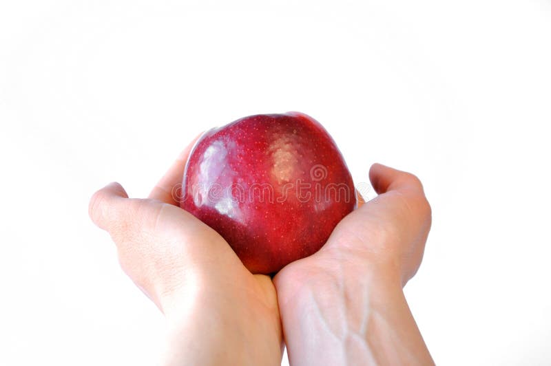 R?tt ?pple i hand royaltyfri fotografi R?tt ?pple i hand royaltyfri fotografi