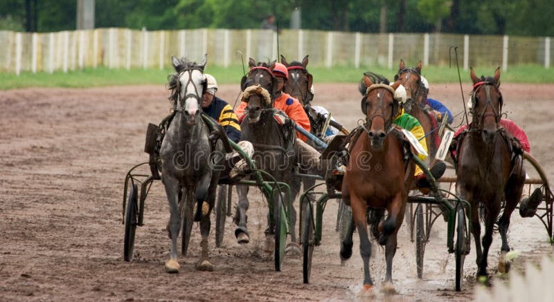 Jogo do cavalo foto de stock. Imagem de areia, cavalo - 40926784