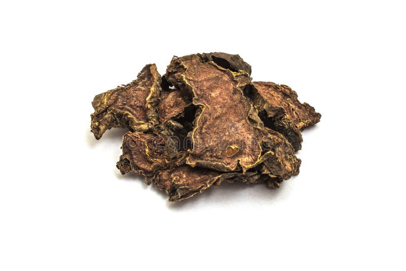 Ra?z seca del rosea de Rhodiola en un fondo aislado blanco fotografía de archivo libre de regalías Ra?z seca del rosea de Rhodiola en un fondo aislado blanco fotografía de archivo libre de regalías