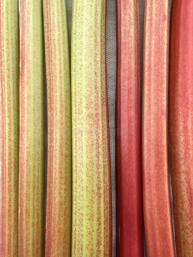 Rhubarb stems, ingredients for homemade juce, top view. Rhubarb stems, ingredients for homemade juce, top view