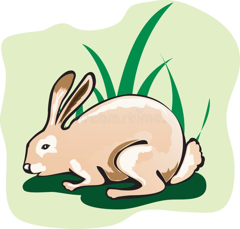 Rabbit Eating Grass Stock Illustrations 139 Rabbit Eating Grass Stock
