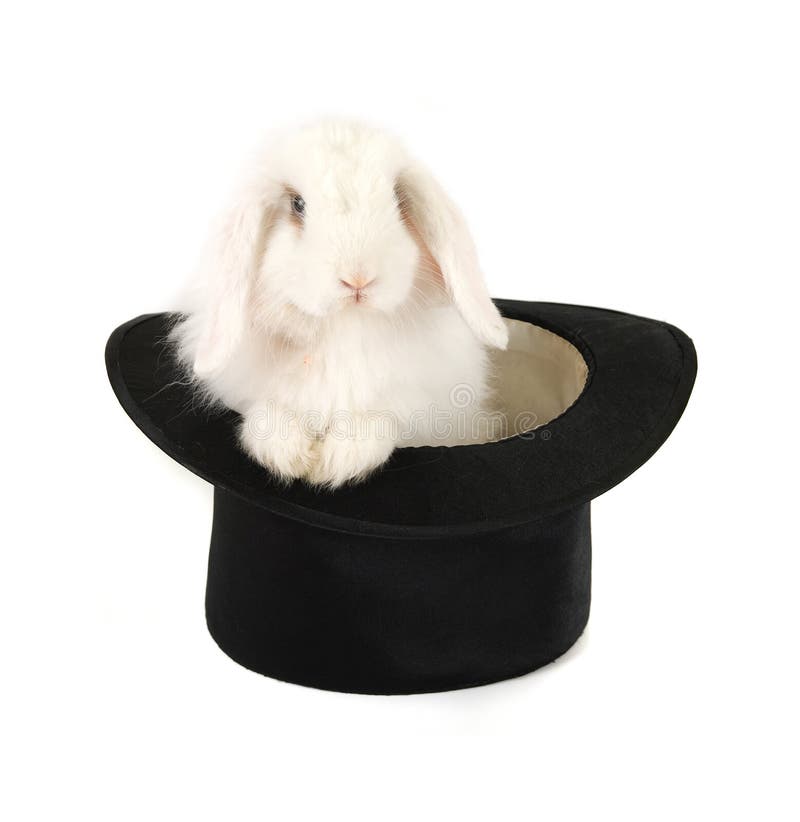 Cute Rabbit in Top Hat and Bowti Stock Image Image of accessory