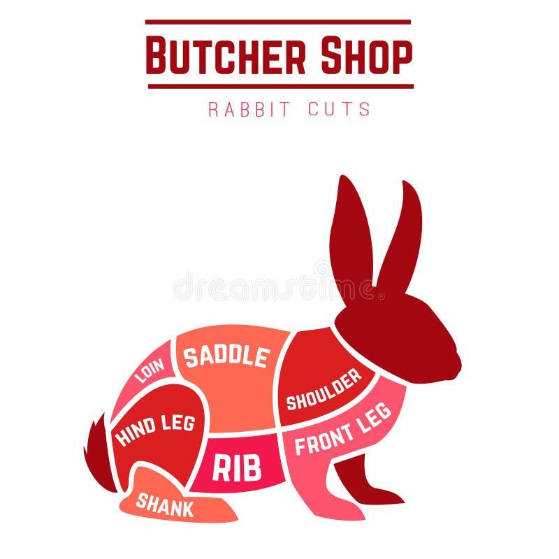 Rabbit cuts diagram for Butcher shop