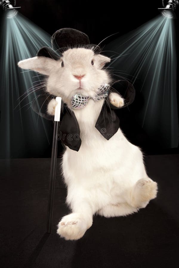 Rabbit dancing in top hat and tuxedo with stick