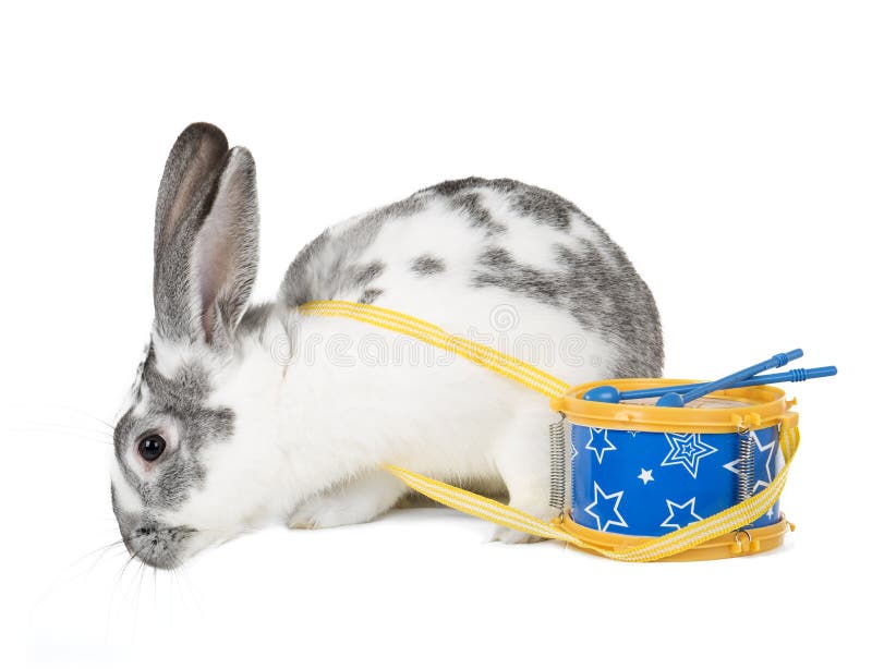 Rabbit with drum stock image. Image of celebration, christmas 39890531