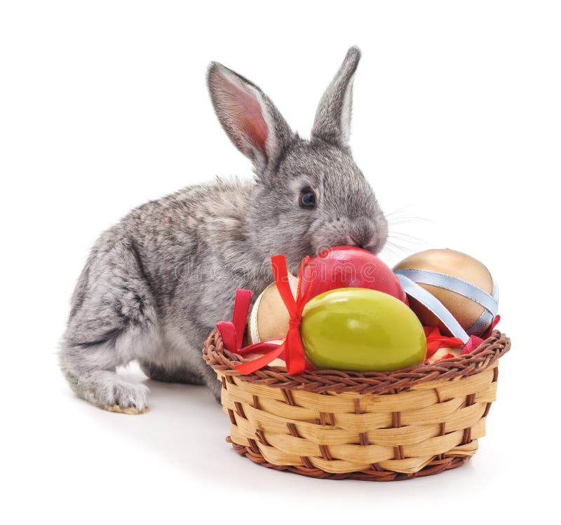Easter basket and bunny. stock image. Image of holiday 110525507