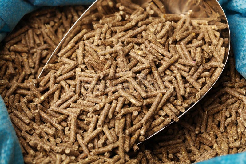 Mealworms stock image. Image of natural, worms, fishing 53804435