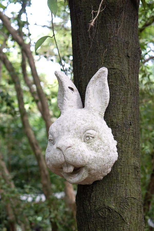 Rabbit Head Stone Sculpture Hanging on the Tree Stock Photo Image of