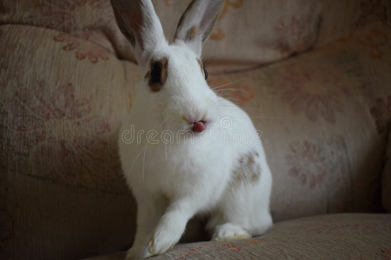 Sadie Goddard (Sadie109) Photographer profile